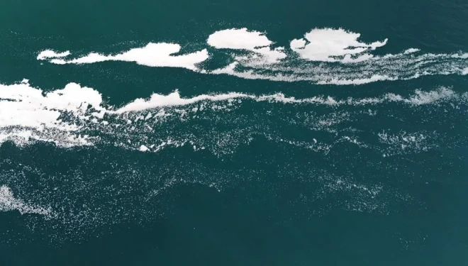 Van Gölü'ndeki o görüntü şaşırttı