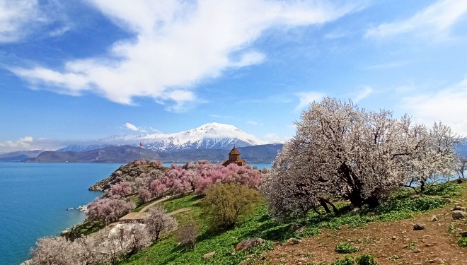Badem çiçekleriyle süslenen Akdamar Adası’nda görsel şölen