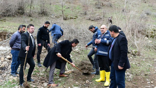 Çatak’ta 19 bin 250 ceviz fidanı dağıtıldı