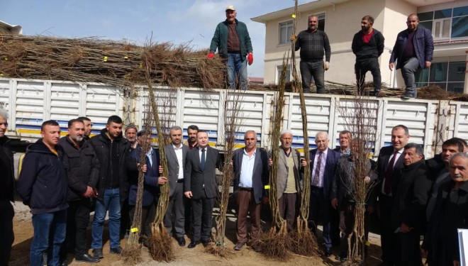 Van’da 31 bin adet meyve fidanı dağıtıldı