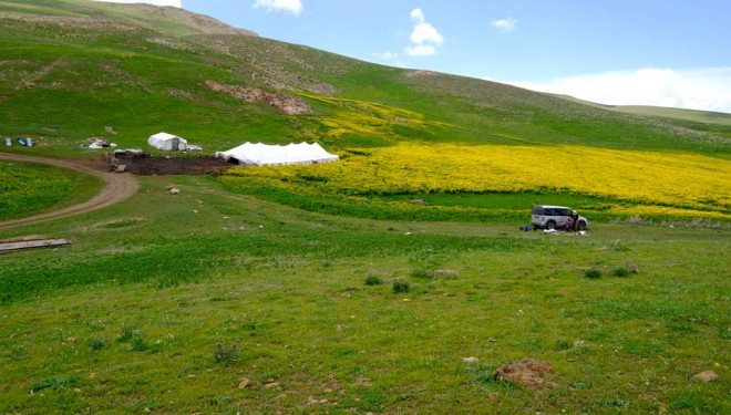 Yaylacılığın kadın yüzü: Erkekler de çalışıyor, ama yük bizim omuzlarımızda