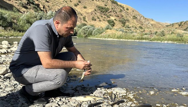 Zap Suyu’nda yaşanan balık ölümleri endişelendiriyor!