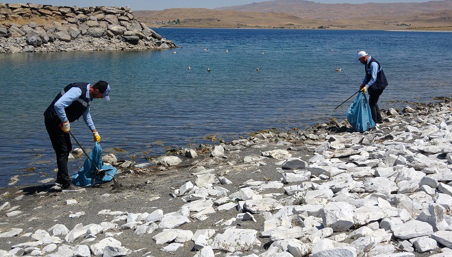 Van Gölü'ndeki martı ölümleri belediyeleri harekete geçirdi