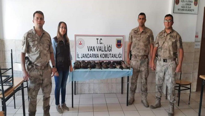 Van'da kaçak olarak yaban ördeği avlayanlara ceza