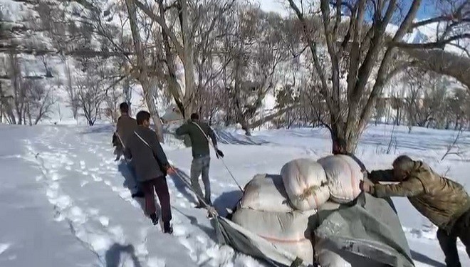 Kar altında kalan samanları çıkartıp, hayvanları için taşıdılar