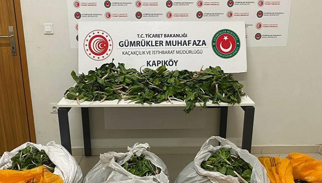 İran uyruklu 6 kişiye biyoçeşitliliği tahripten milyonlarca ceza verildi