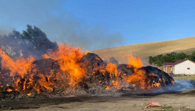 Başkale’de 4 bin bağ ot kül oldu