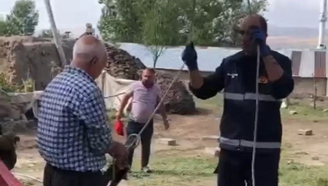 Foseptiğe düşen eşek kurtarıldı
