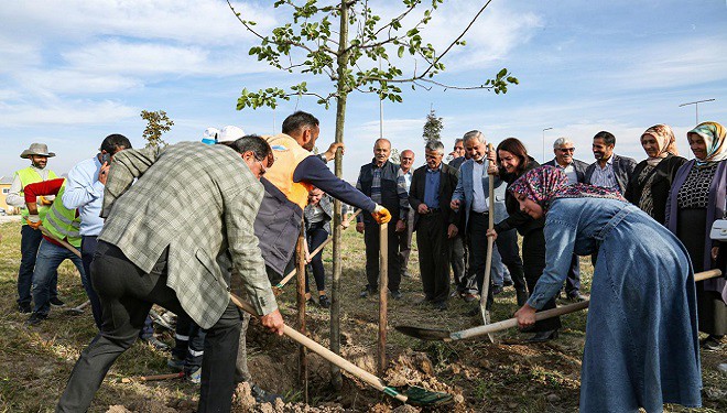 VBB yaşamını yitiren 103 can için 103 fidan dikti
