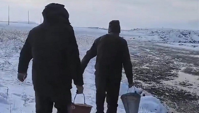 Van'da yaban hayvanları için doğaya yem bırakıldı