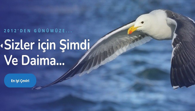 Kürtçe Çeviri ve Türkçe Urduca Çeviri