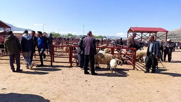 Van’da kurbanlıklar satışa çıktı: “Bu sene fazla satışımız yok"