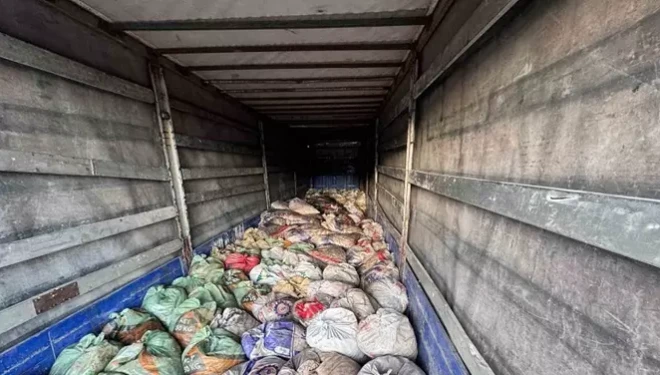 Van’da 22 ton 475 kilogram kaçak avlanmış balık ele geçirildi