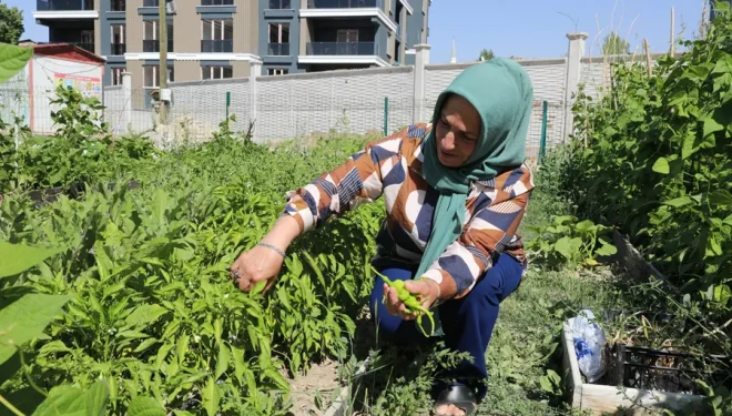 Kadın Kent Bostanı Üretim ve Dayanışma Bahçesi Oldu