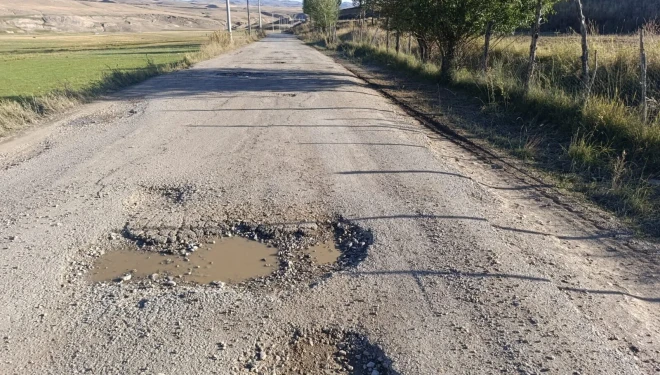 Van’ın Başkale ilçesine bağlı o köyün yolları köstebek yuvasına döndü