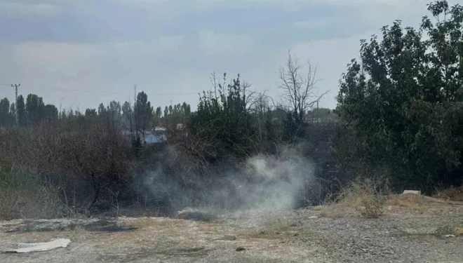 Van YYÜ kampüsünde arazi yangını