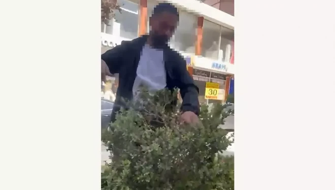 Van’da refüjdeki çiçek ve fidanlara zarar veren şahıs suçüstü yakalandı