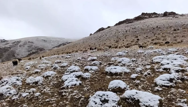 Van'ın yükseklerine kar yağdı