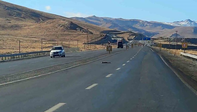 Van’da araçların çarptığı