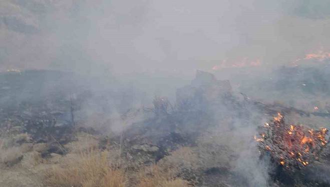Başkale’de anız yangını