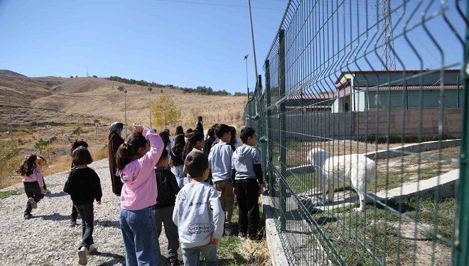 Minik öğrenciler patili dostlarını ziyaret etti