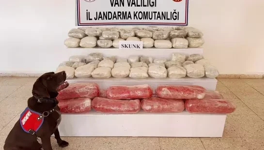 Van'da arazide 61 kilo skunk ele geçirildi; 1 gözaltı