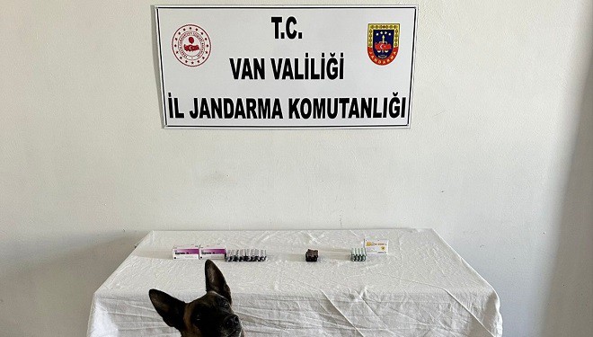 İran uyruklu şahsın üzerinden 380 adet sentetik hap ele geçirildi