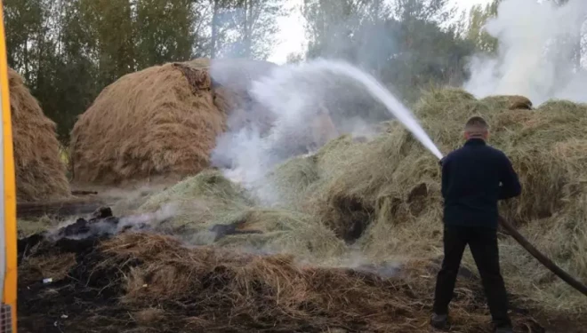 Van’da bin bağ ot yandı