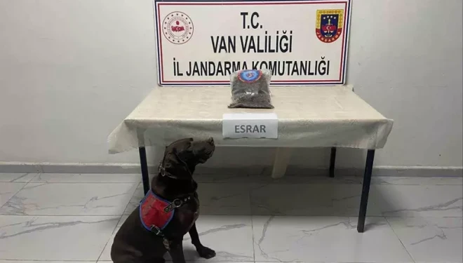Van ve Hakkari jandarmasından uyuşturucu operasyonu