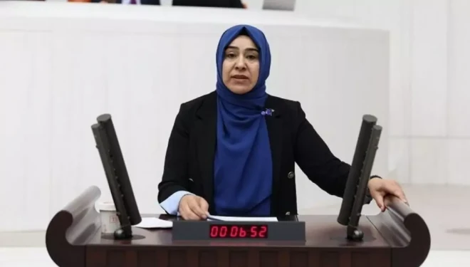 Van'daki elektrik kesintileri meclise taşındı