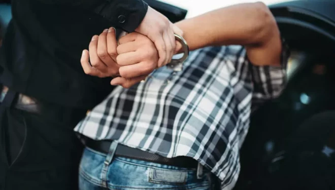 Van’da anne ve iki oğlunu öldüren cinayet şüphelisi tutuklandı