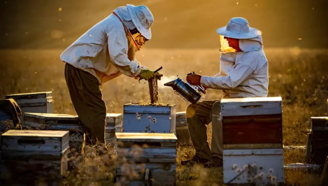 Vanlı fotoğraf sanatçısı Murat Cacim Uluslararası yarışmada ikincilik ödülü aldı