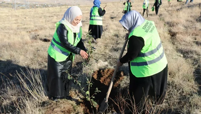 Edremit’te kadınlar meşenin yeşilini, gölün mavisiyle buluşturdu