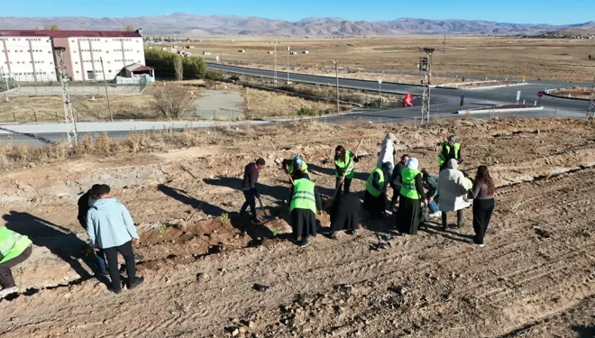 Çaldıran'da kadın eliyle meşeler toprakla buluştu