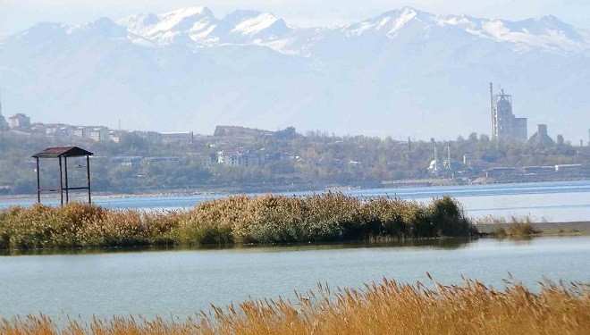 Van Gölü Havzası, Türkiye’nin en fazla sulak alanına ev sahipliği yapıyor