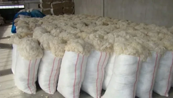 Van'da yün işleyecek tesis yok, emekler heba oluyor!