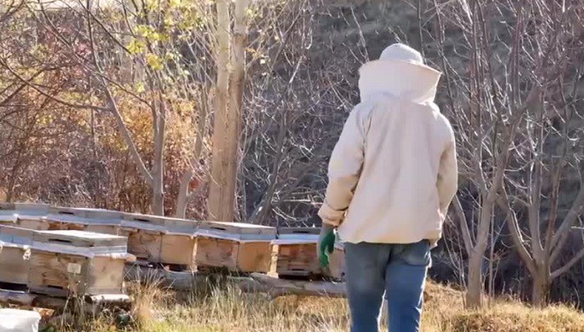Gevaş'ta arıcılık yapan Azad, olumsuz iklim koşulları nedeniyle...