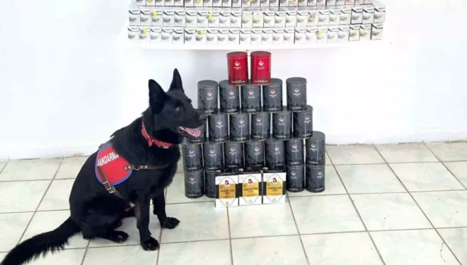 Van’da kaçak sigara ve çay ele geçirildi