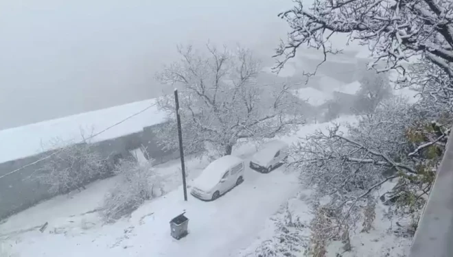 Van’ın Bahçesaray ilçesinde kar etkili oldu