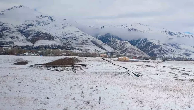 Van'ın Başkale ilçesi beyaza büründü