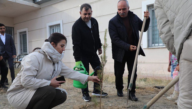 Kalecik Mahallesi'nde Fidan Dikimi Gerçekleştirildi