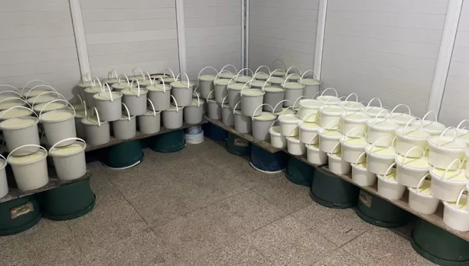 Van'da 1 ton süt ve  239 kova yoğurt imha edildi!