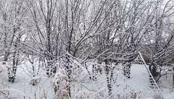 Başkale beyaza bürüdü