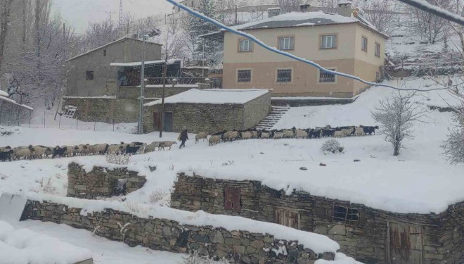 Van’da kar yağışı: Yüksek kesimlerde zorlu şartlar