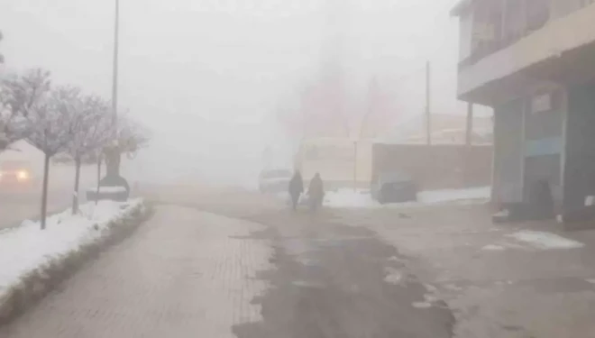 Başkale’de sis etkili oldu