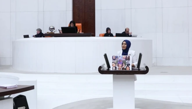 Vekil Varlı, TBMM kürsüsünden sordu: "Gülistan Doku nerede? Rojin'e ne oldu?"