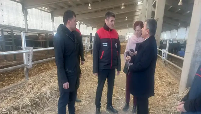 Van'daki Düve üretim merkezi faaliyete geçti