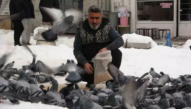 Van’da kar sonrası güvercinlerden görsel şölen