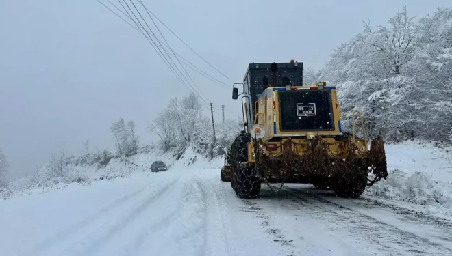 Van Valiliğinden çığ ve kar yağışı uyarısı