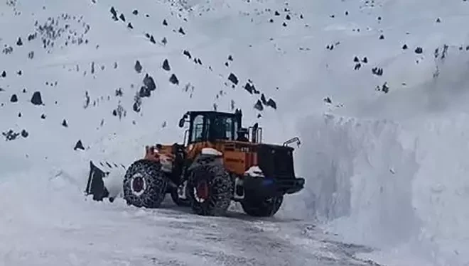 Çatak’ta 24 saatte 6 çığ düştü